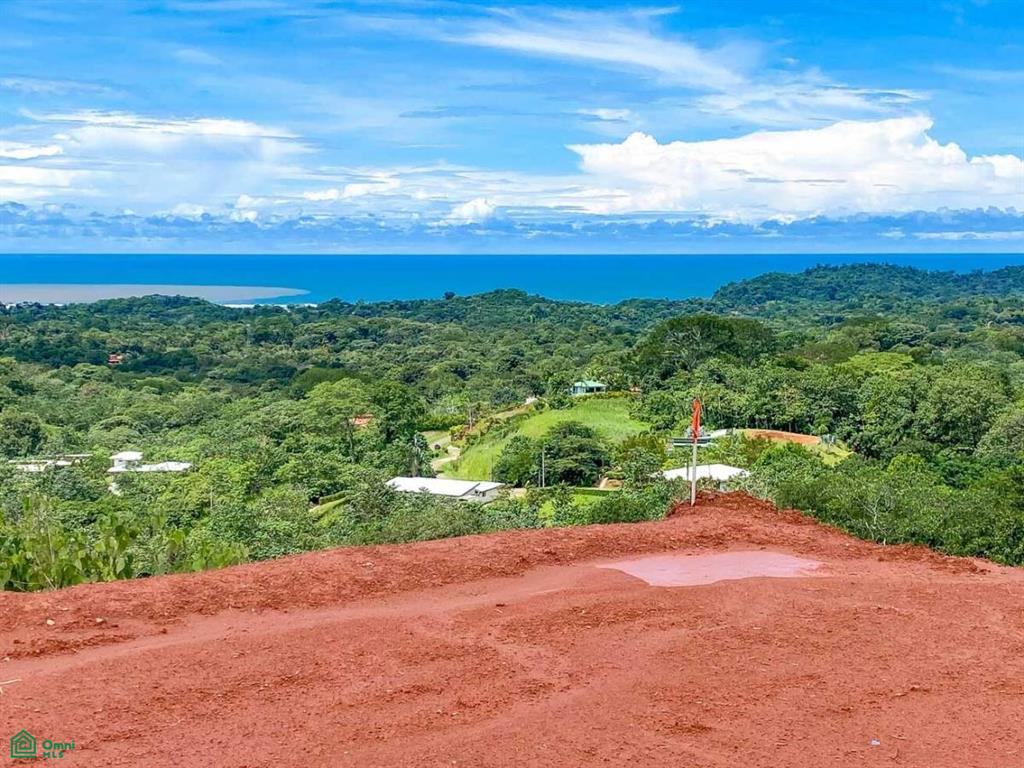 Calle jaquar, Puntarenas 60501